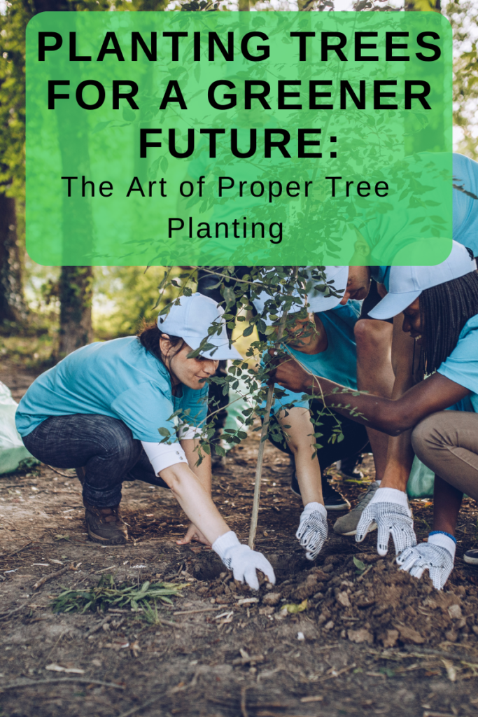 Planting Trees for a Greener Future: The Art of Proper Tree Planting ...