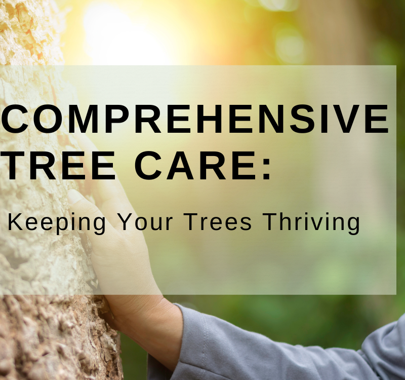 Comprehensive Tree Care