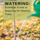 pruning and trimming trees, The Importance of Pruning & Trimming Trees: Enhancing Growth & Safety, Plano Tree Care