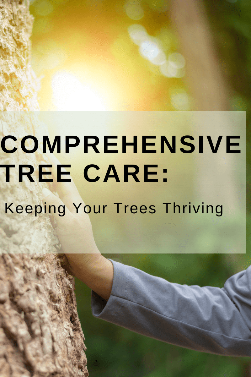 Comprehensive Tree Care: Keeping Your Trees Thriving