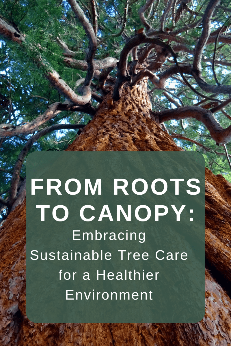 From Roots to Canopy: Embracing Sustainable Tree Care for a Healthier Environment
