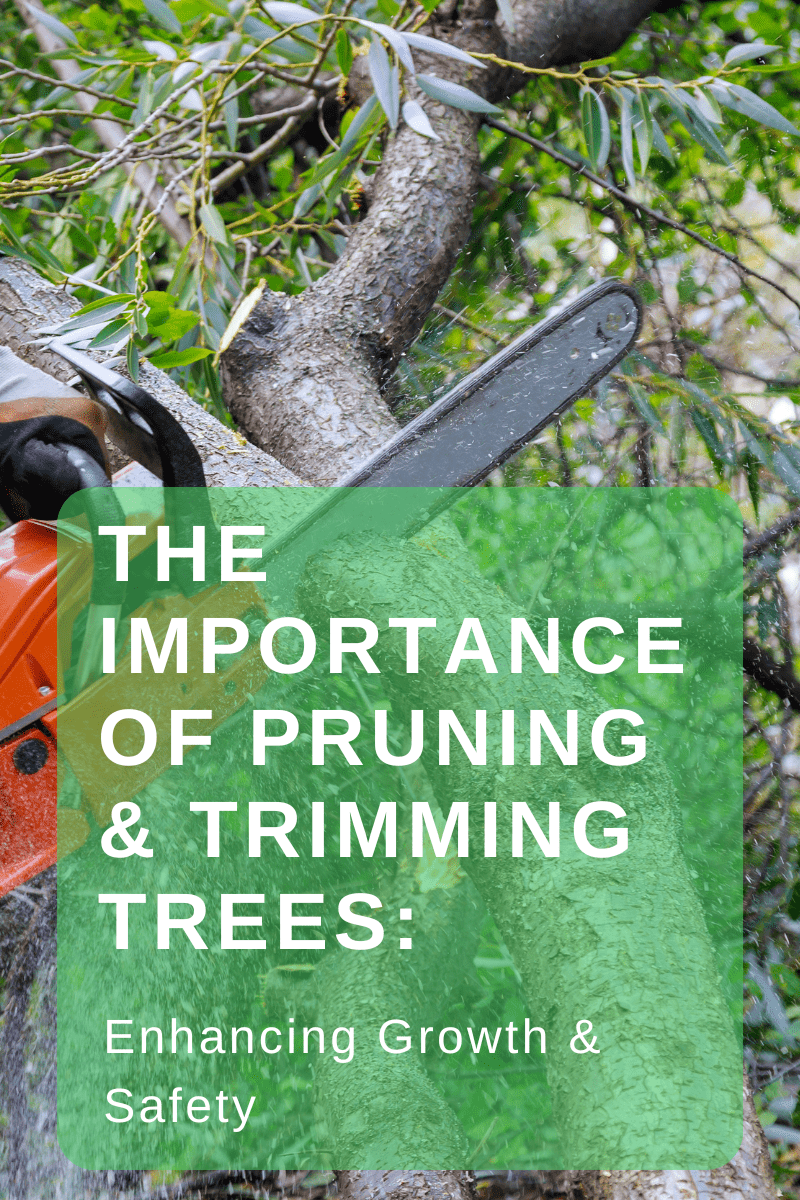 The Importance of Pruning & Trimming Trees: Enhancing Growth & Safety