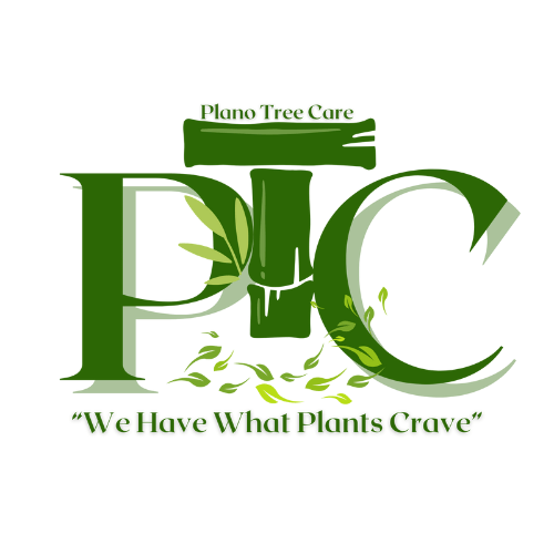 Plano Tree Care logo