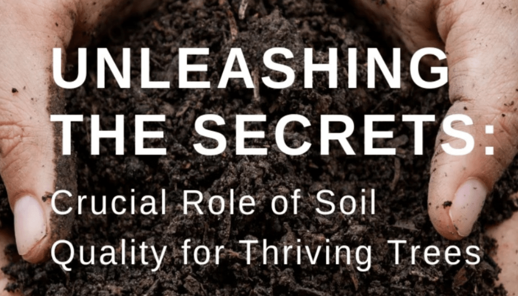 Unleashing the Secrets: Crucial Role of Soil Quality for Thriving Trees