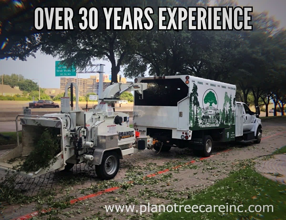 Over 30 Yrs Experience Tree Service Plano Tree Care