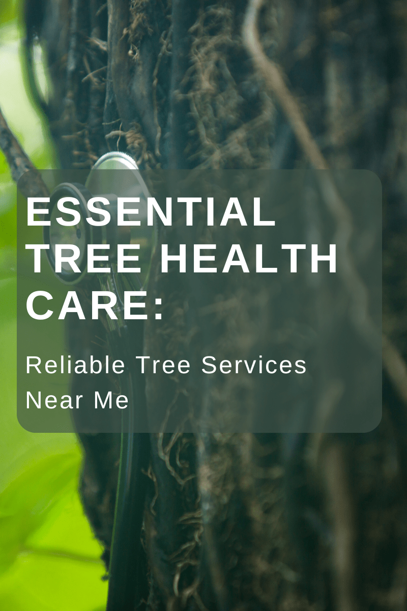 Essential Tree Health Care: Reliable Tree Services Near Me