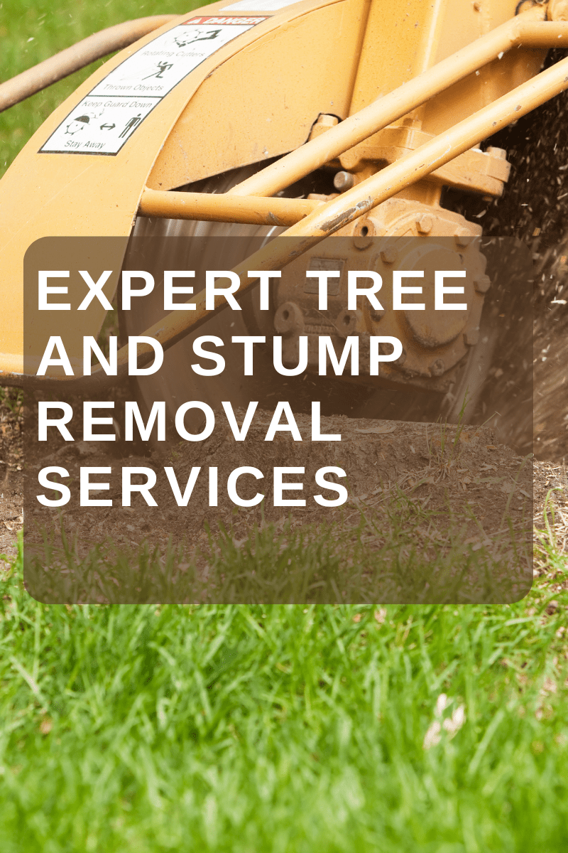 Expert Tree & Stump Removal Services