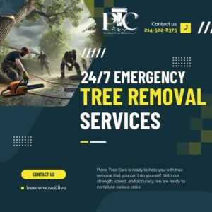 Plano Tree Care Inc. emergency tree removal crew cutting a fallen tree after storm damage with bold text reading "24/7 Emergency Tree Removal Services"