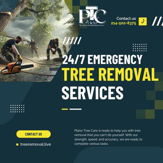 Plano Tree Care Inc. emergency tree removal crew cutting a fallen tree after storm damage with bold text reading "24/7 Emergency Tree Removal Services"