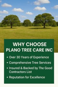 Green field with mature oak trees under blue sky, promoting Plano Tree Care Inc.’s experience, services, and reliability.