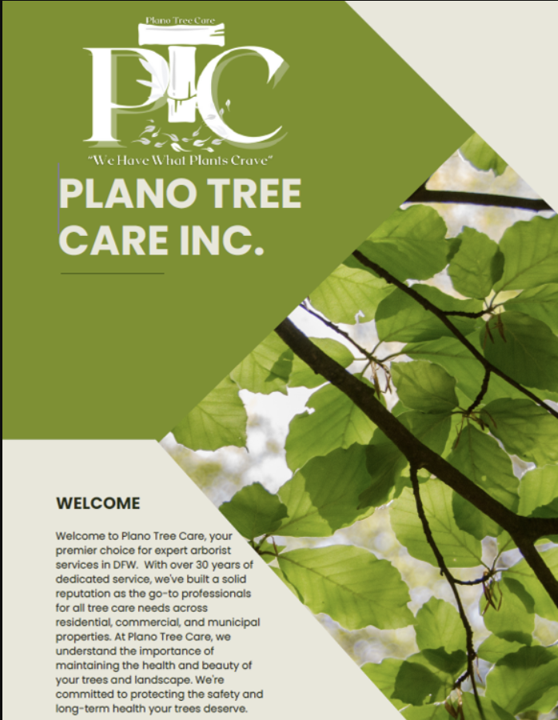 Tree Care Guide Thumbnail