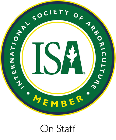 ISA member badge