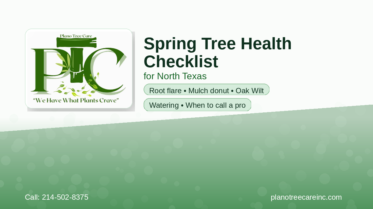 ptc_spring_tree_health_feature_1200x675_v4_phone | Plano Tree Care Plano Tree Care Inc Spring Tree Health Checklist for North Texas featured image