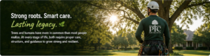 Banner image of an arborist in a helmet and safety gear standing in a sunlit yard, with the headline 'Strong roots. Smart care. Lasting legacy.' and a subheading about trees and humans needing proper care.